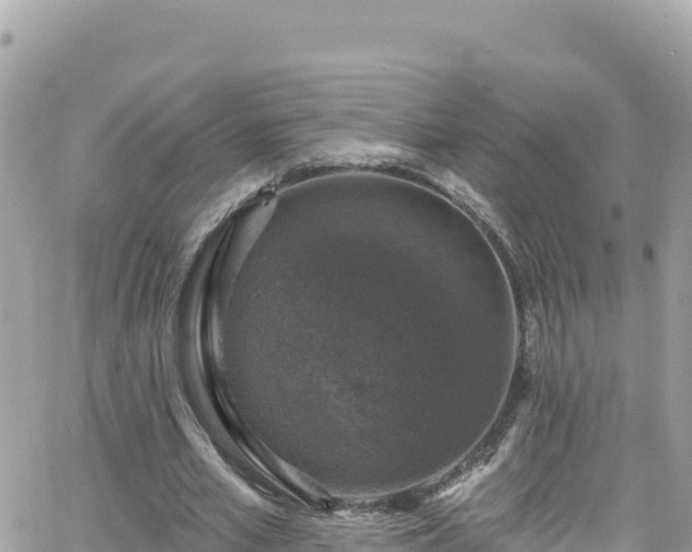 X0000066510581200603241309