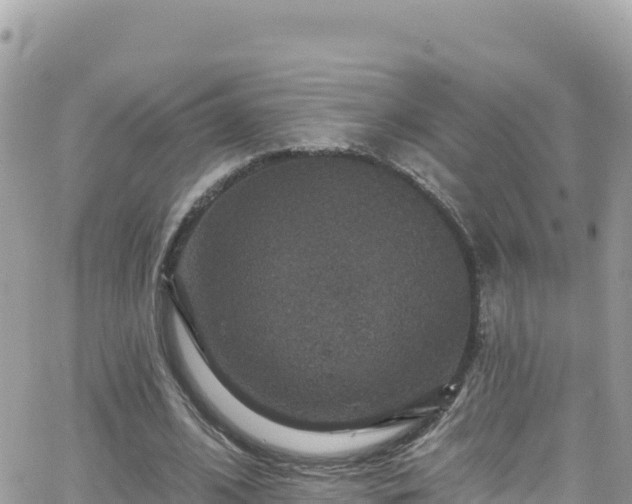 X0000066510584200603241309