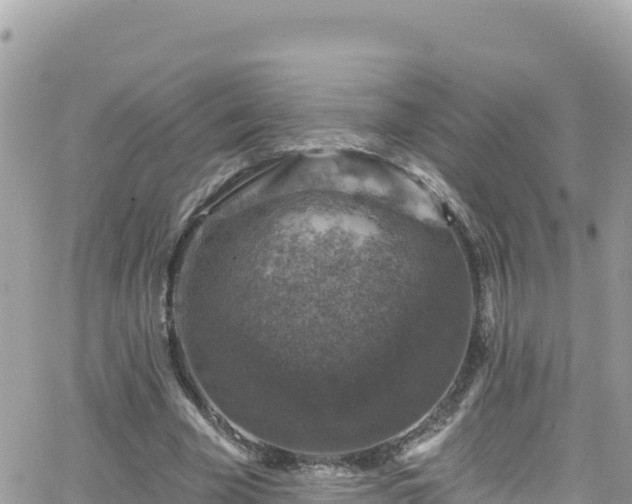 X0000066510585200603241309