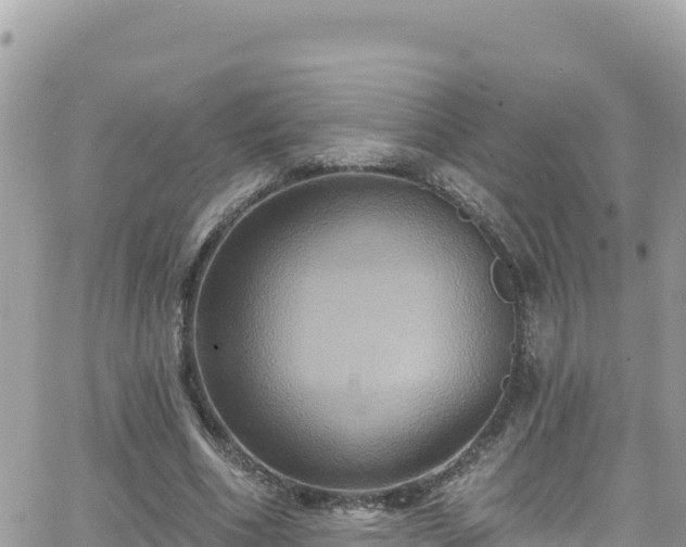 X0000066510586200603241309