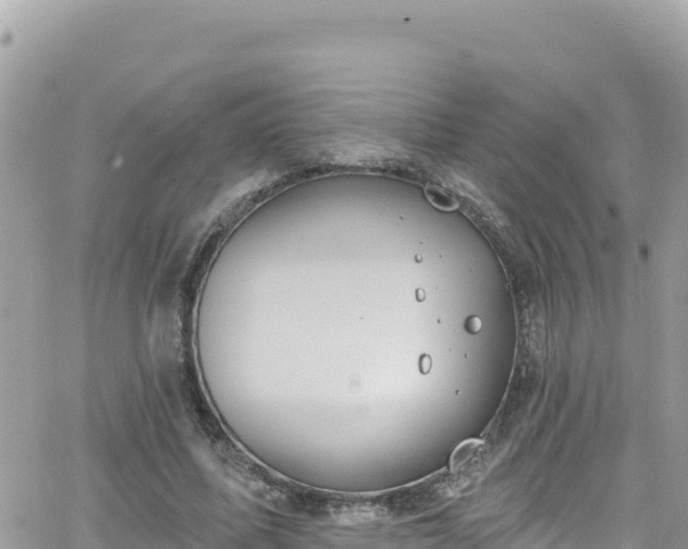 X0000066510587200603241309