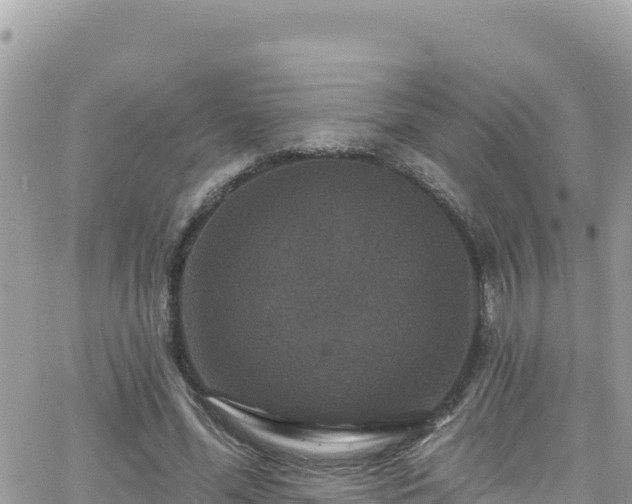 X0000066510588200603241309