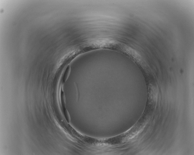 X0000066510590200603241309