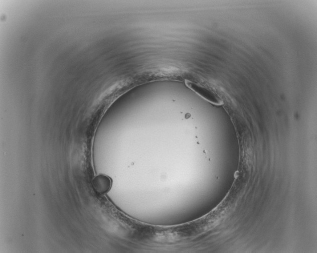 X0000066510591200603241309