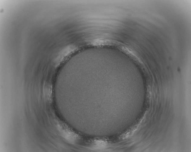 X0000066510592200603241308