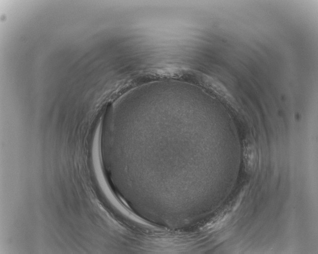 X0000066510593200603241308