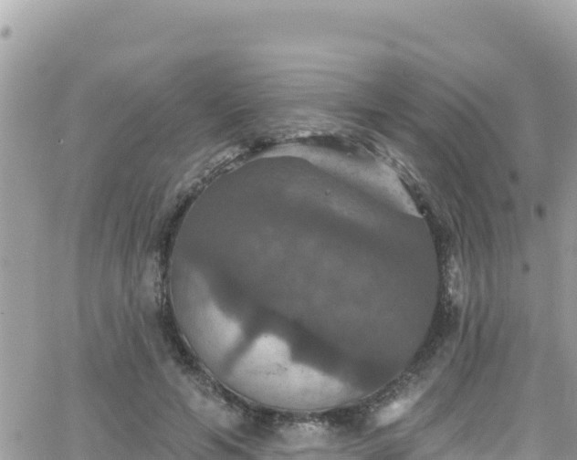 X0000066510594200603241308