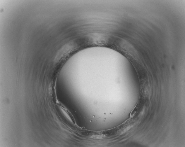 X0000066510595200603241308