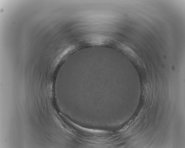 X0000066510596200603241308