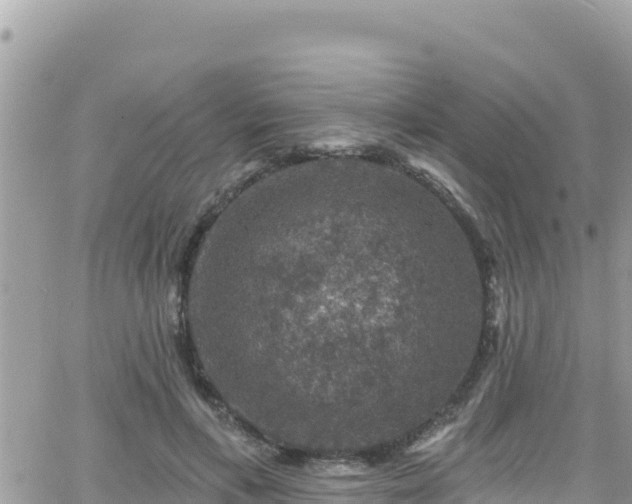 X0000066510597200603241308