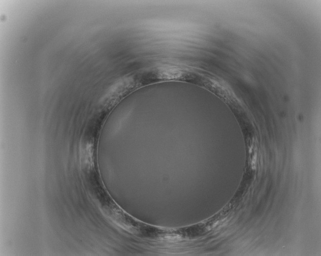 X0000066510598200603241308