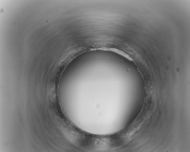 X0000066510599200603241308