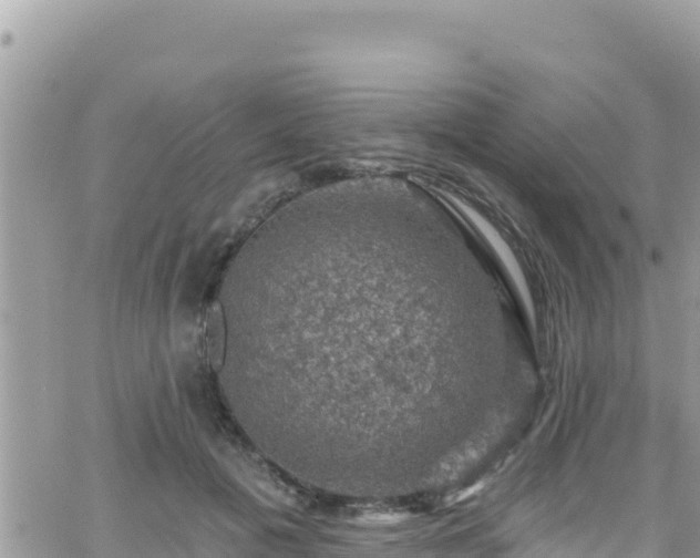 X0000066510601200603241308