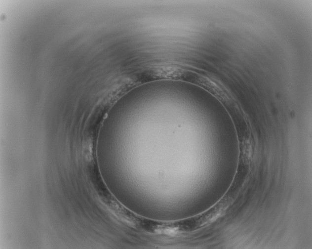 X0000066510602200603241308