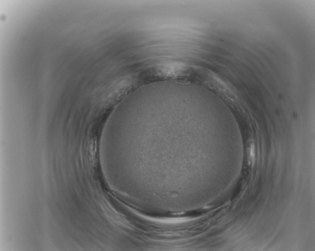 X0000066510605200603241308