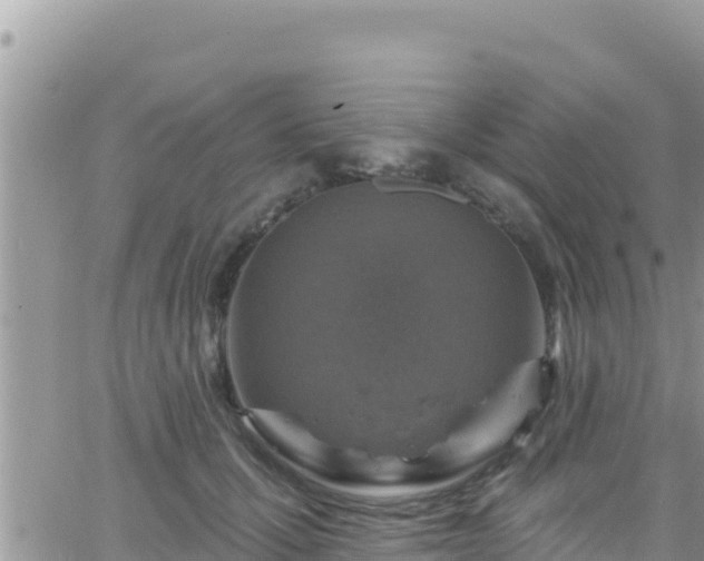 X0000066510607200603241308