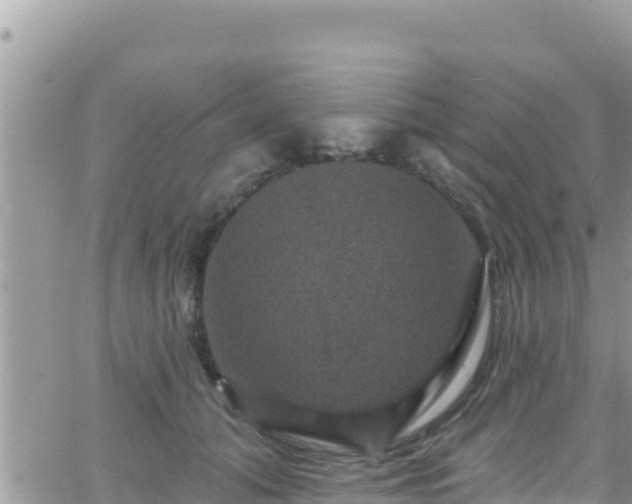 X0000066510608200603241308