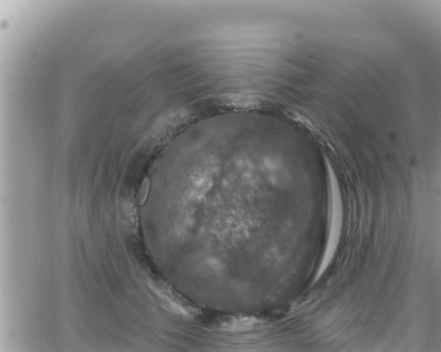 X0000066510609200603241308