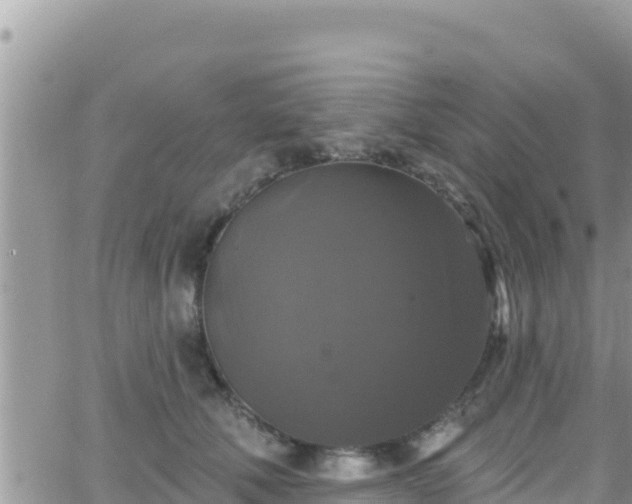 X0000066510610200603241308