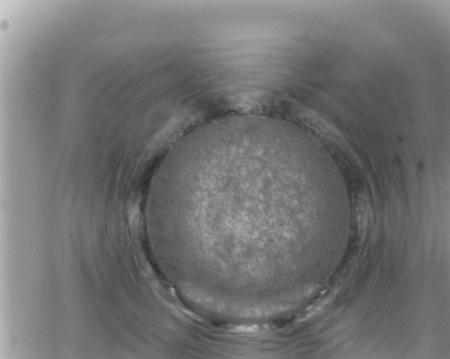 X0000066510611200603241308