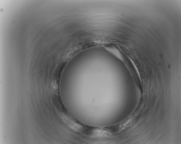 X0000066510614200603241308