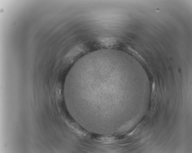 X0000066510615200603241308