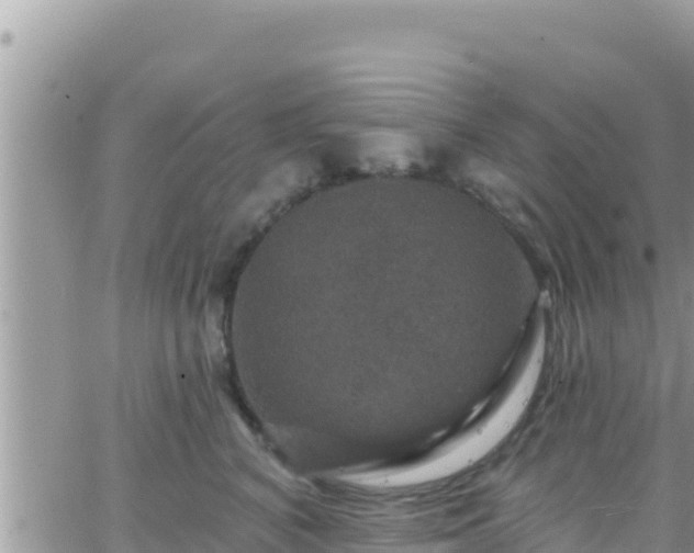 X0000066510616200603241308