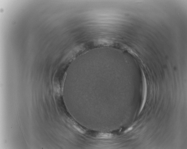 X0000066510617200603241308