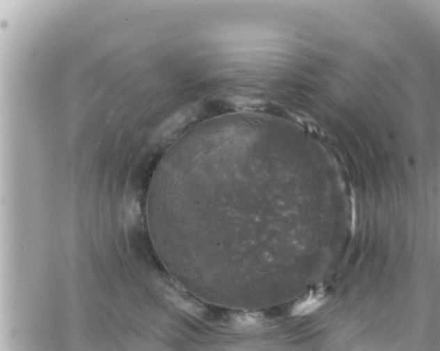 X0000066510618200603241308