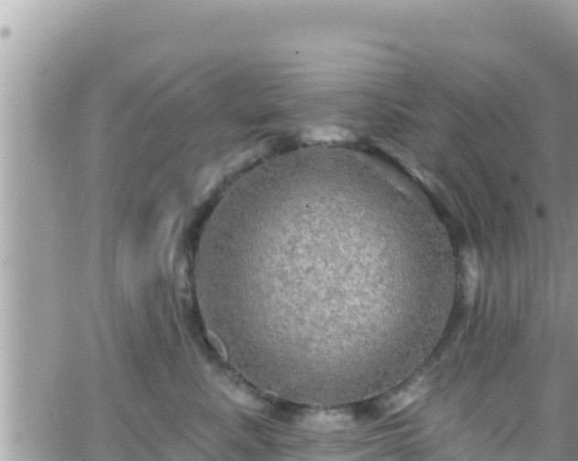 X0000066510619200603241308