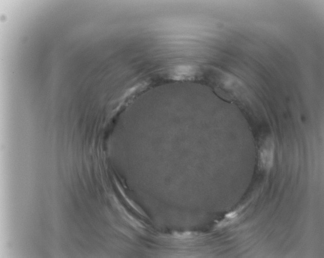 X0000066510620200603241308