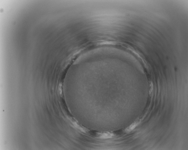 X0000066510621200603241308