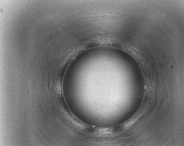 X0000066510622200603241308