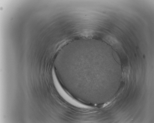 X0000066510623200603241308