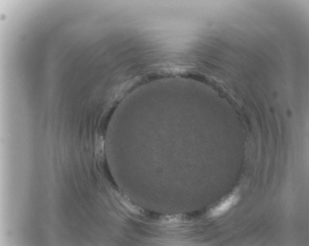 X0000066510624200603241308