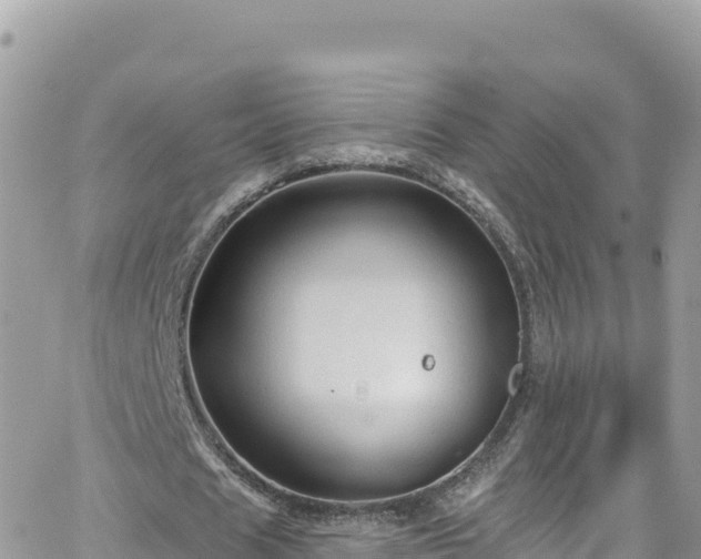 X0000066510625200603241307