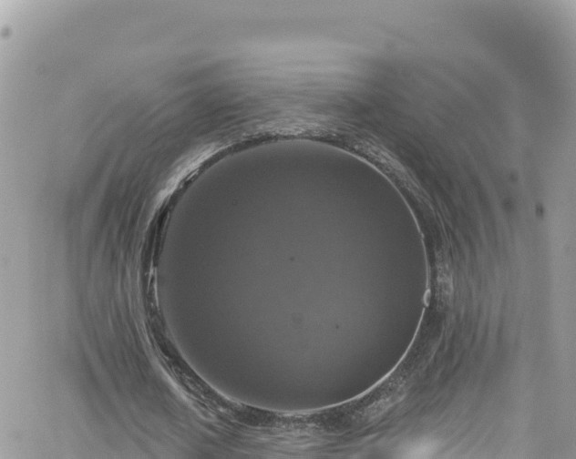 X0000066510626200603241307