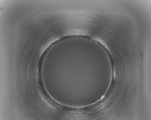 X0000066510627200603241307