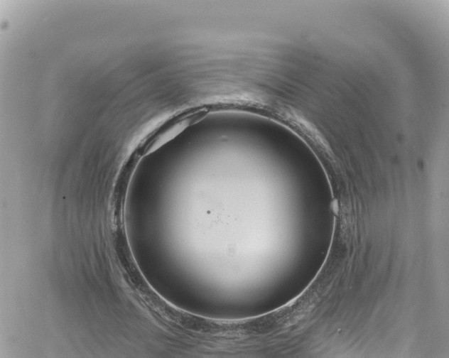 X0000066510628200603241307