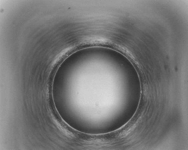 X0000066510629200603241307