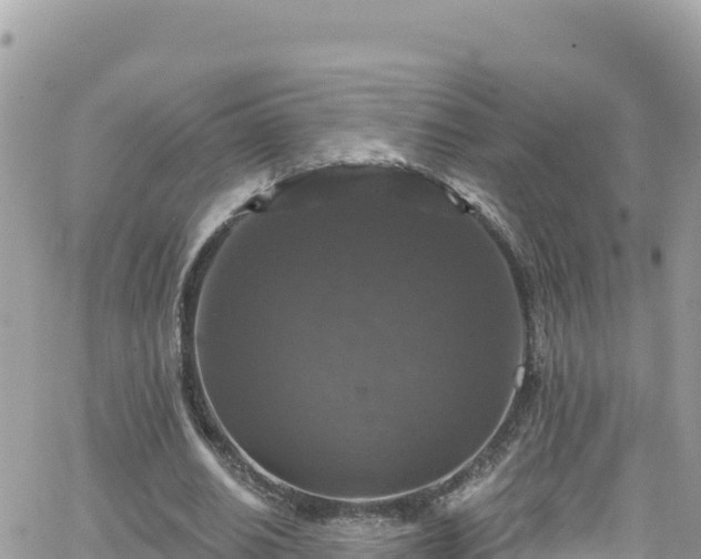 X0000066510630200603241307