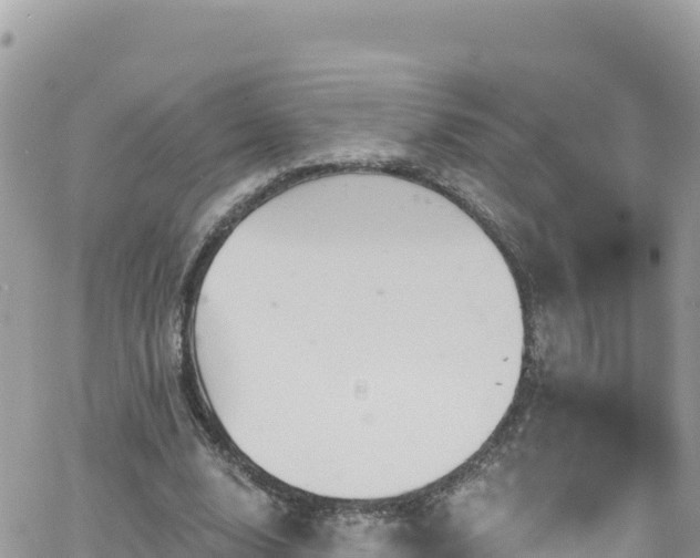 X0000066510632200603241307