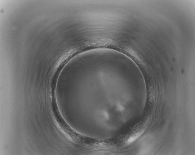 X0000066510634200603241307