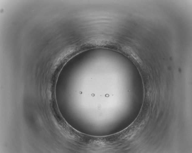 X0000066510635200603241307