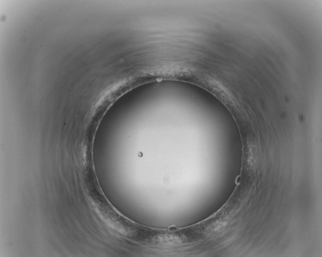 X0000066510636200603241307