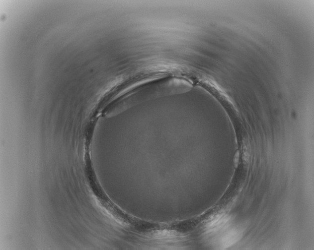 X0000066510637200603241307