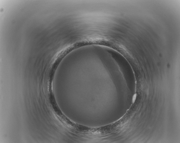 X0000066510640200603241307