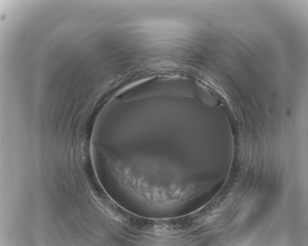 X0000066510641200603241307