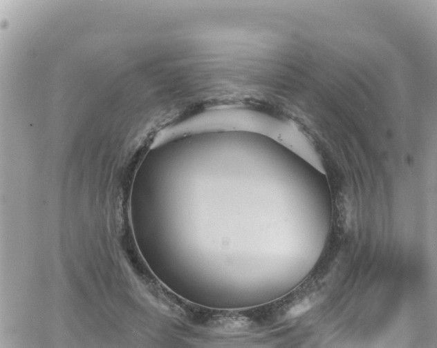 X0000066510642200603241307