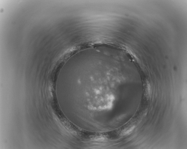 X0000066510643200603241307